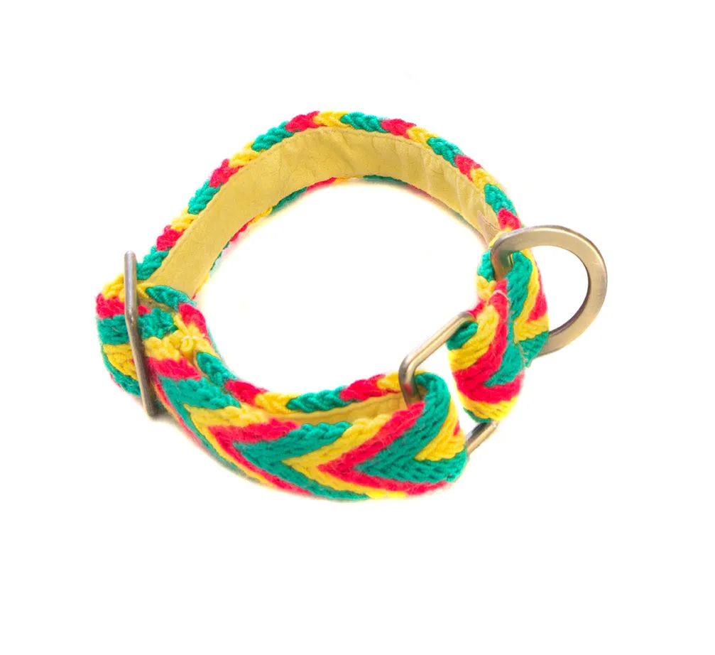 Amarillo Set - Collar & Leash