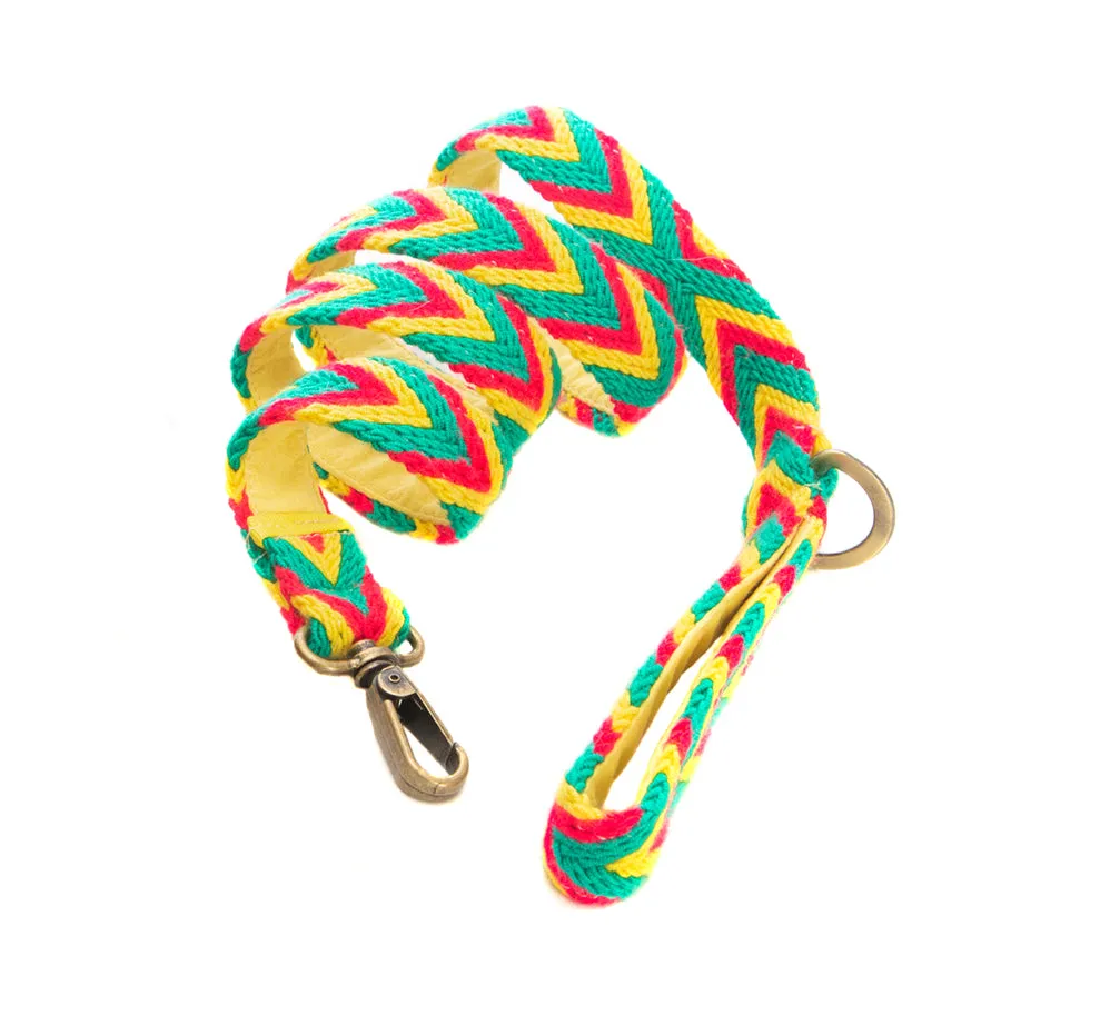 Amarillo Set - Collar & Leash