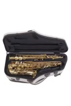 BAM HIGHTECH ALTO & SOPRANO SAX CASE