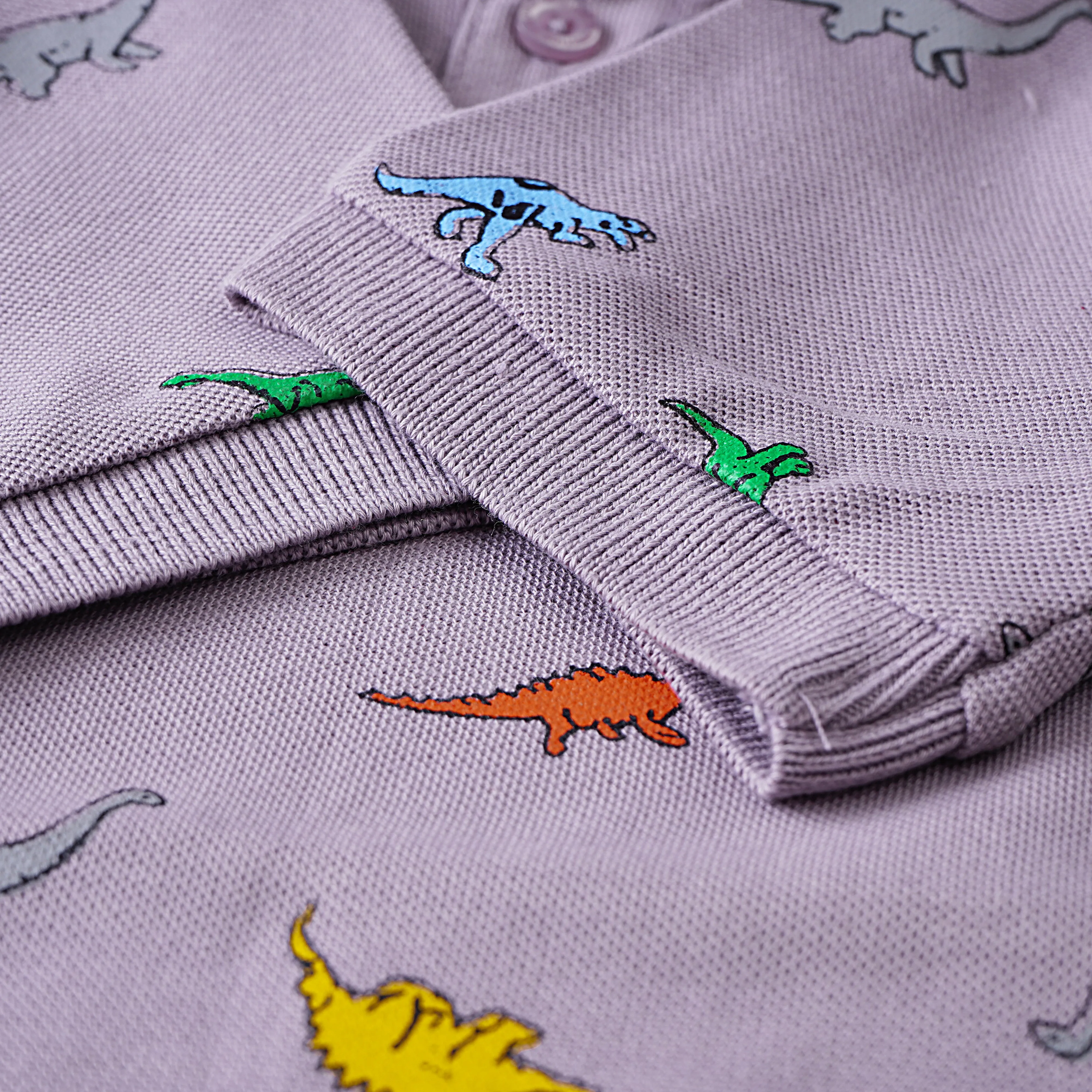 Boys Half Sleeves Polo T-Shirt (Dino A.O)