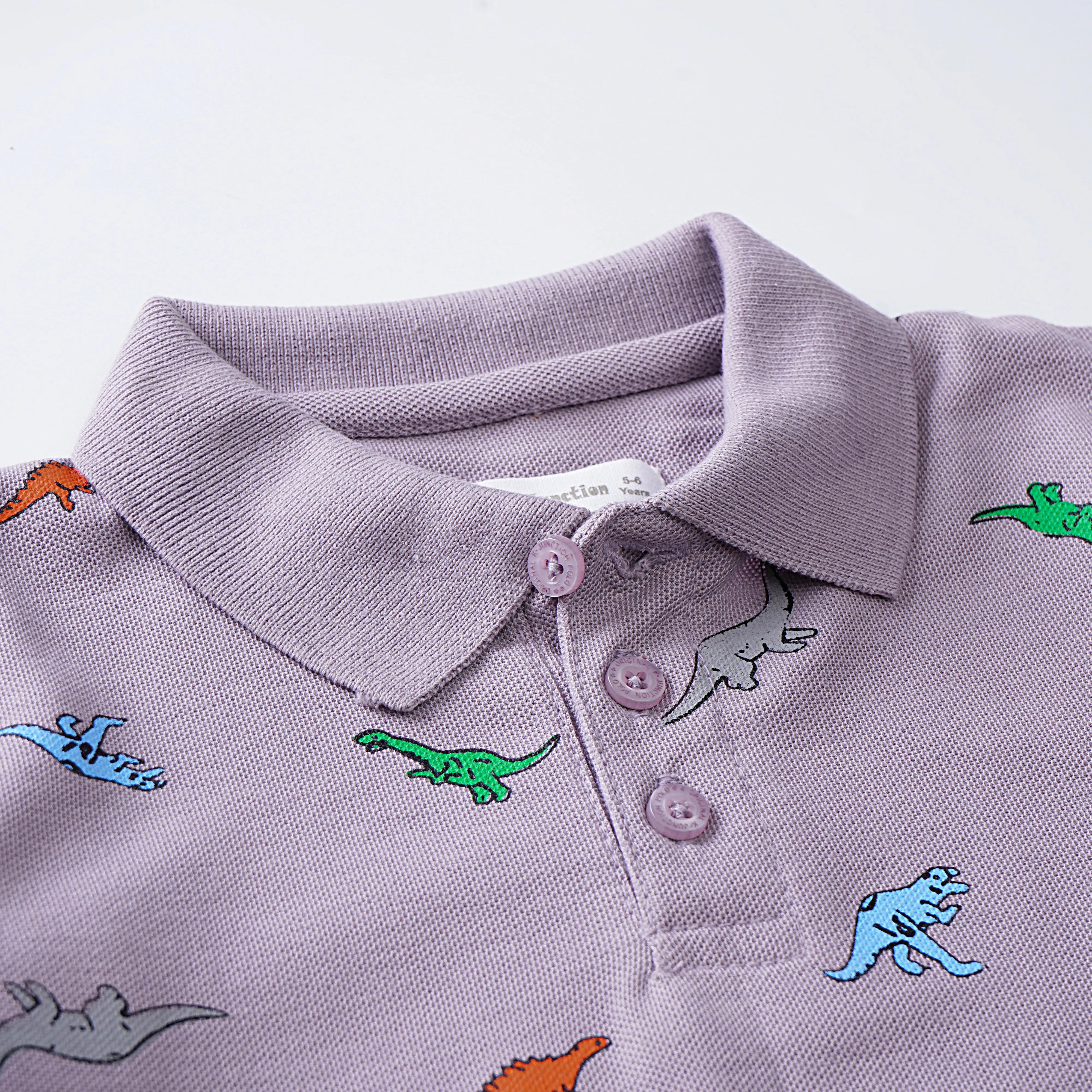 Boys Half Sleeves Polo T-Shirt (Dino A.O)