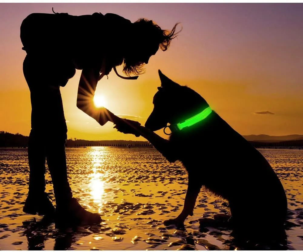 BSEEN Nylon Reflective LED Dog Collar