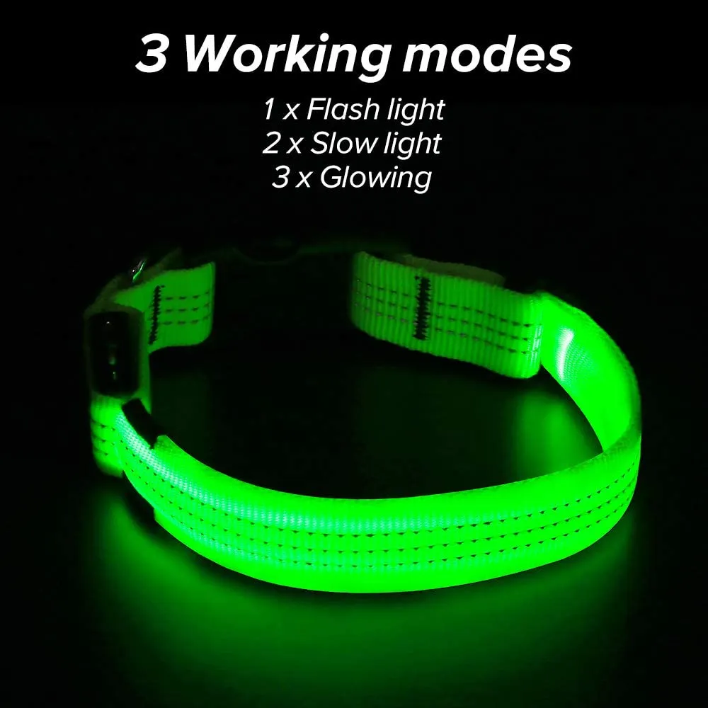 BSEEN Nylon Reflective LED Dog Collar