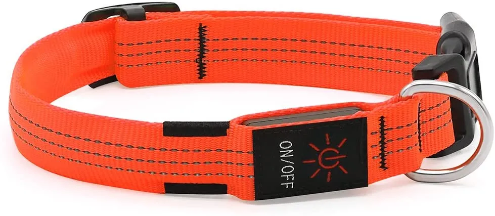 BSEEN Nylon Reflective LED Dog Collar