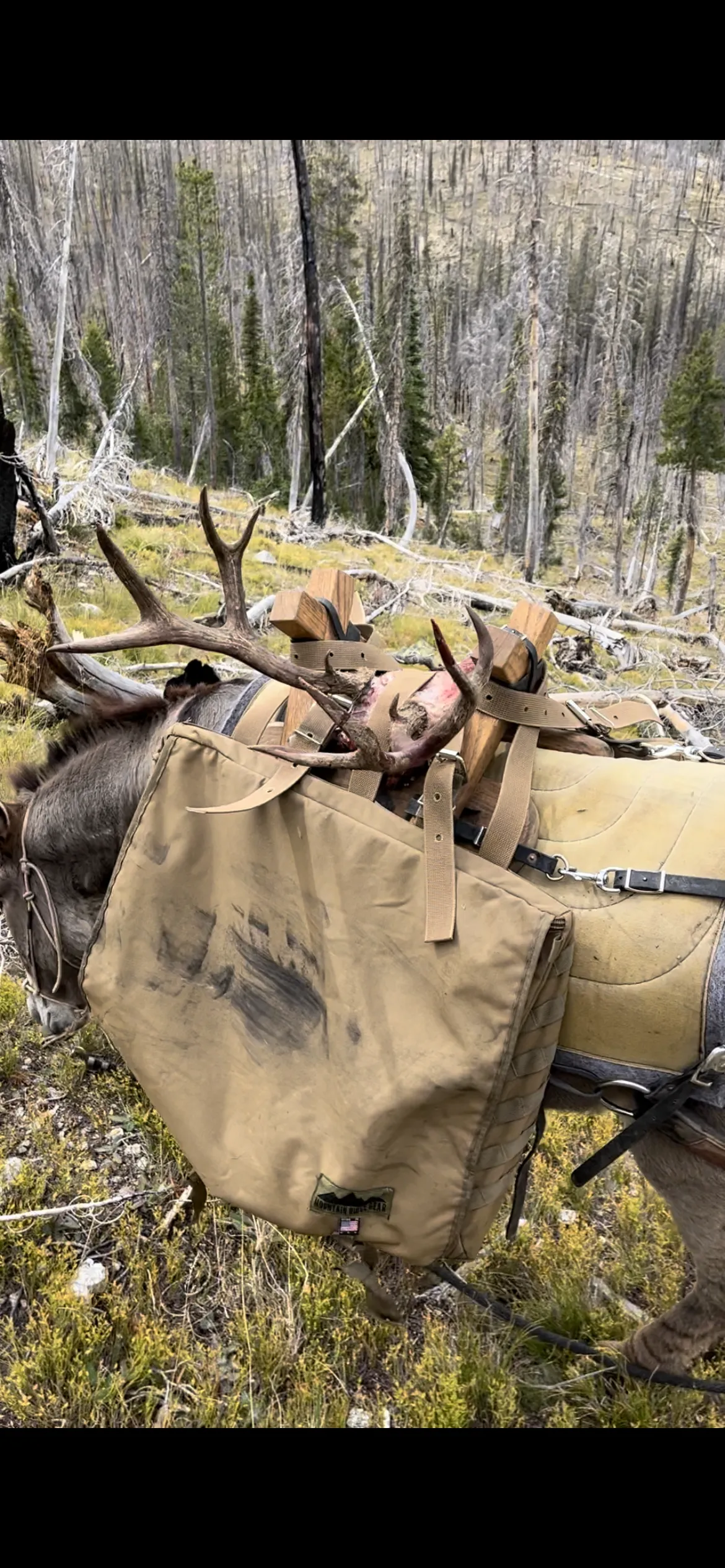 Burro Hunting Pannier with External Pockets- (Set of 2 pannier)