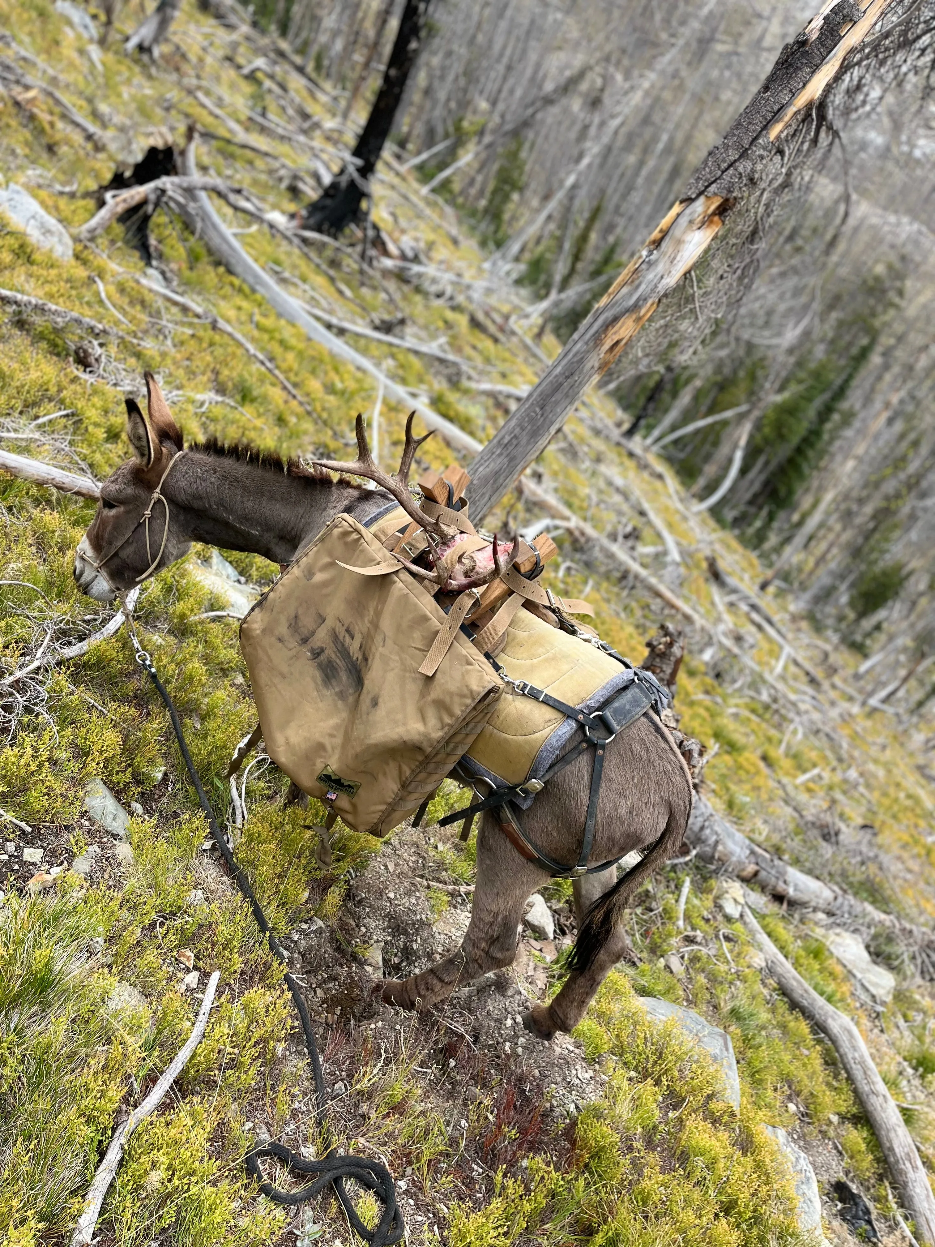 Burro Hunting Pannier with External Pockets- (Set of 2 pannier)
