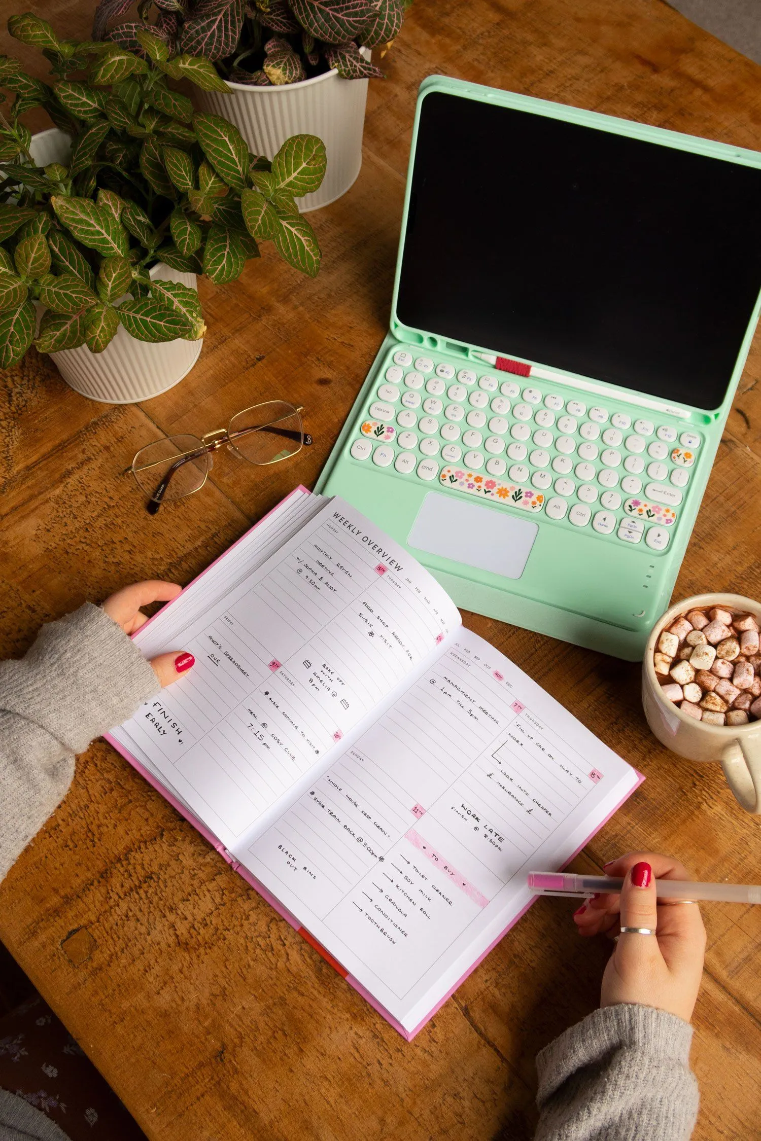Have A Nice Year Weekly Overview Diary