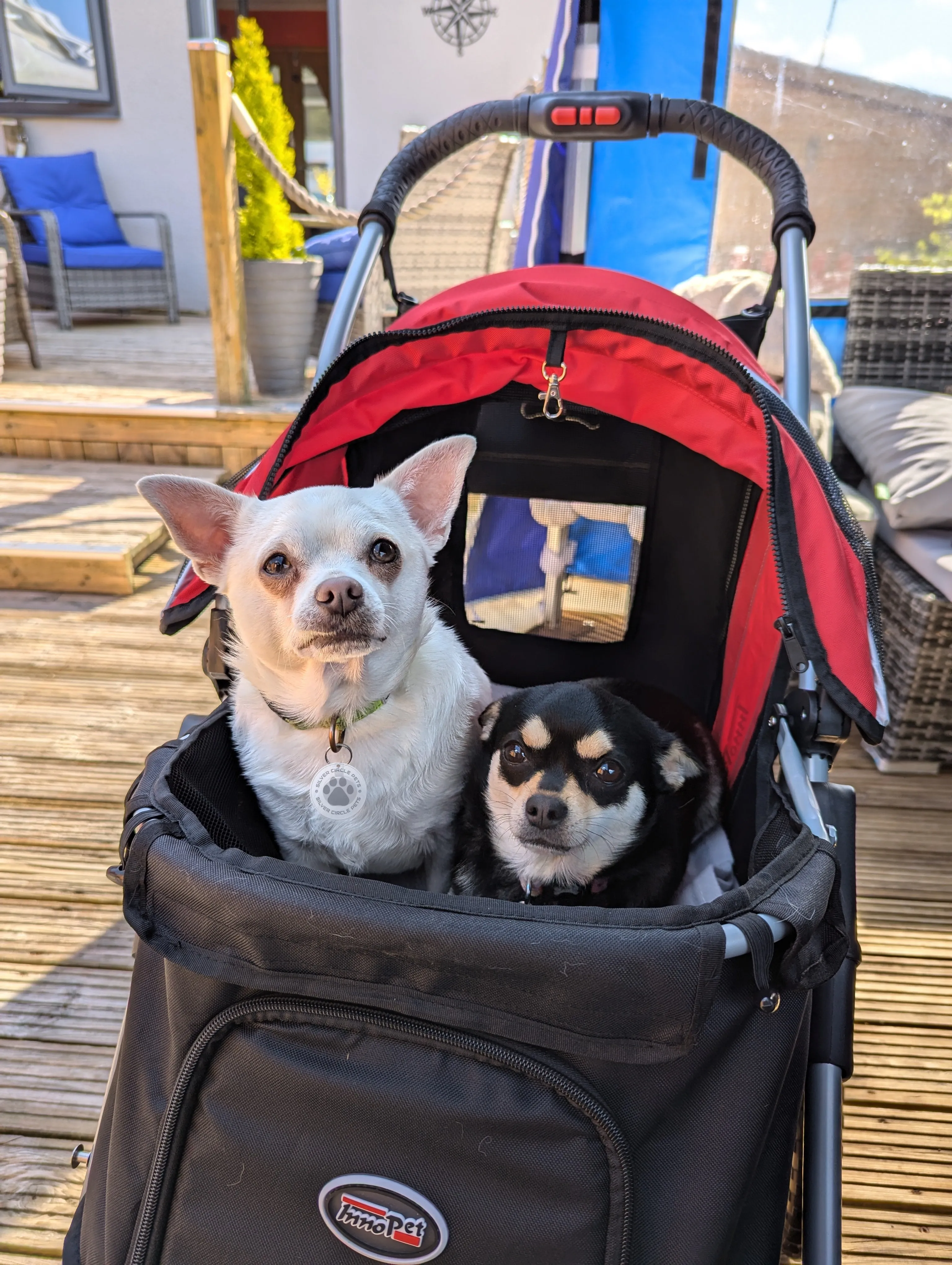 InnoPet Buggy Comfort EFA ECO Dog Pram V2.0   Free Organiser
