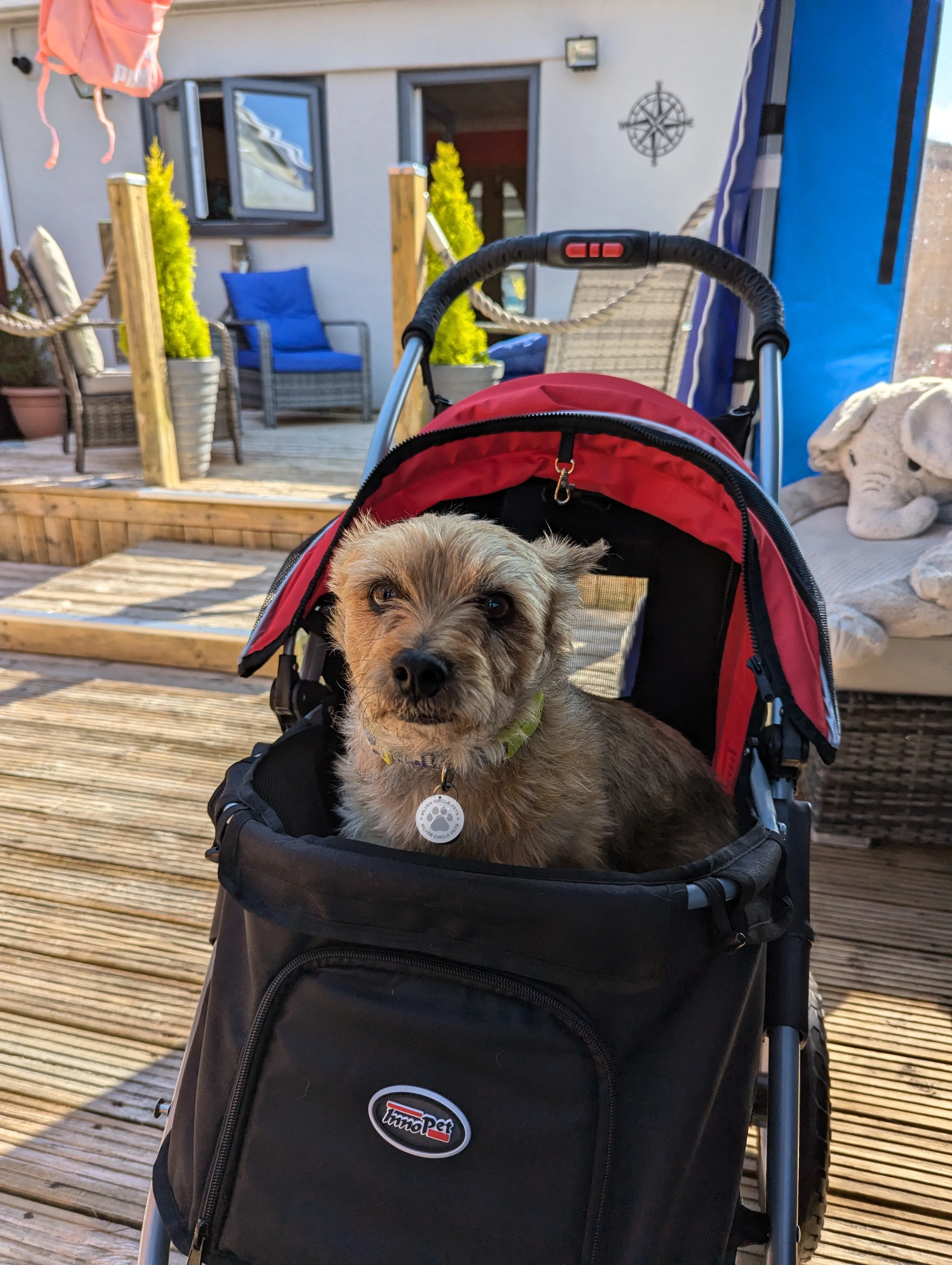 InnoPet Buggy Comfort EFA ECO Dog Pram V2.0   Free Organiser