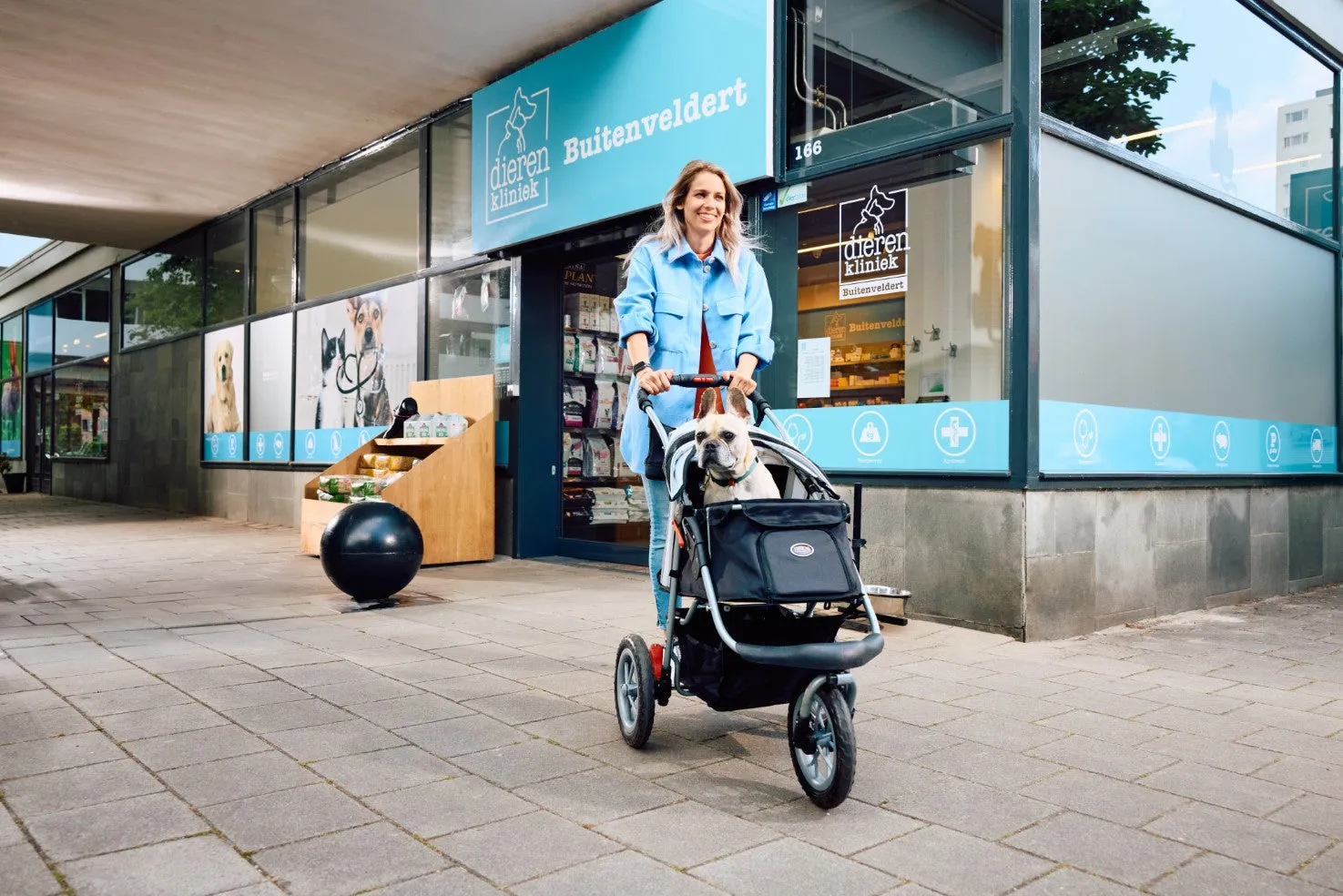 InnoPet Buggy Comfort EFA ECO Dog Pram V2.0   Free Organiser
