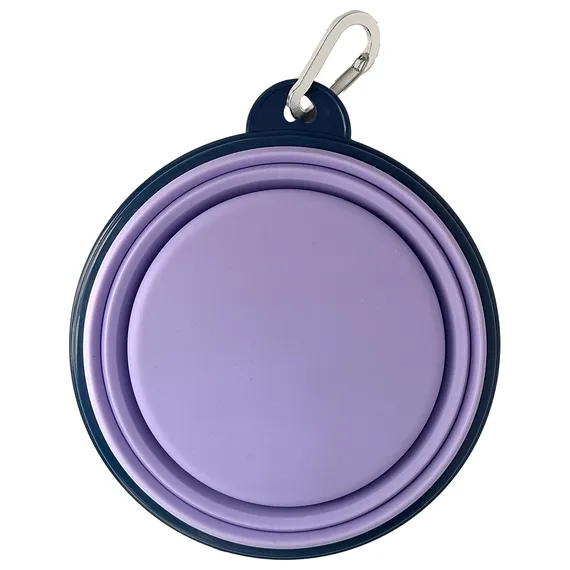 Life is Good Daisy Silicone Travel Dog Bowl
