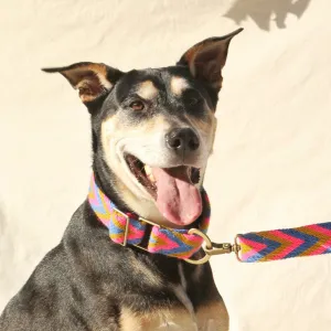 Mostaza Set - Collar & Leash