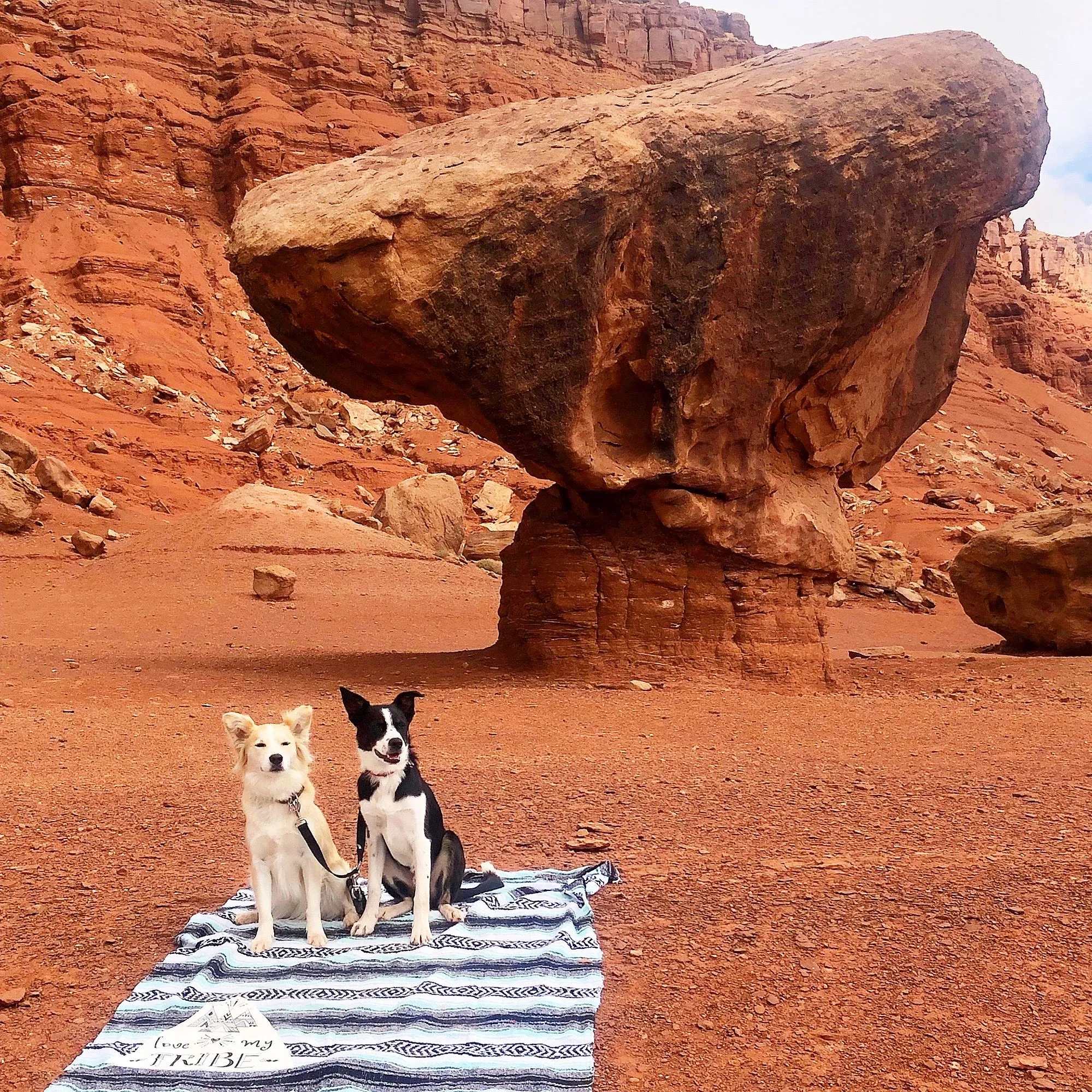 "Love My Tribe" - Mint Throw - Falza Mexican Blanket