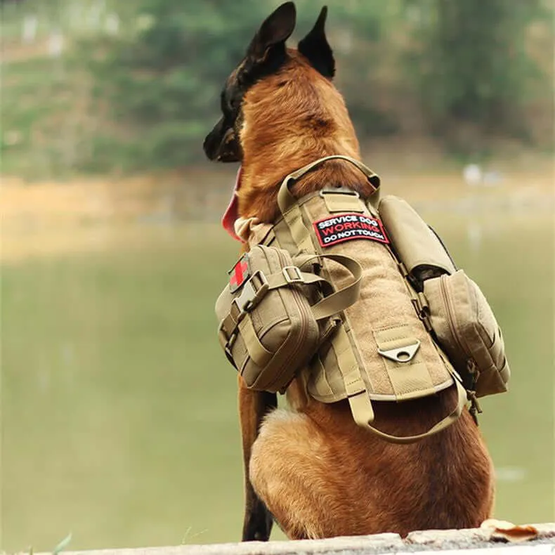 Tactical Dog Harness – MOLLE Vest for Training & Hiking