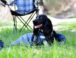 Weatherbeeta Explorer Dog Sleeping Bag